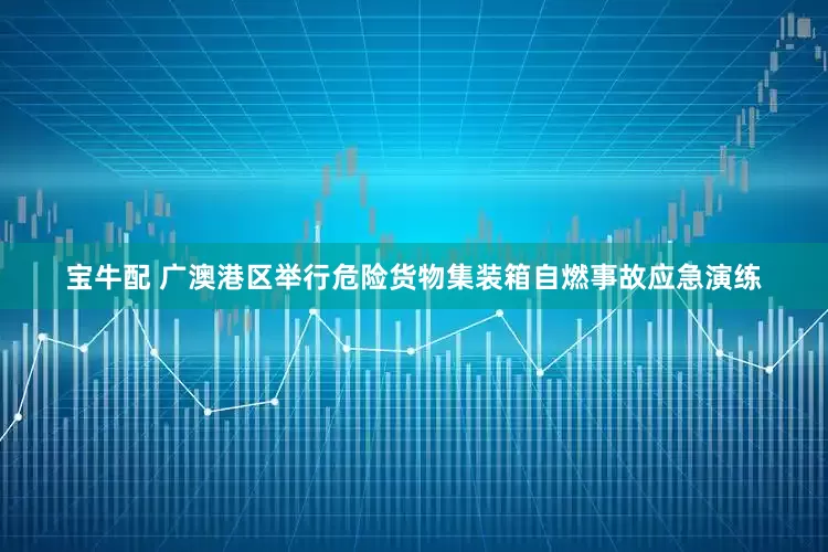 宝牛配 广澳港区举行危险货物集装箱自燃事故应急演练