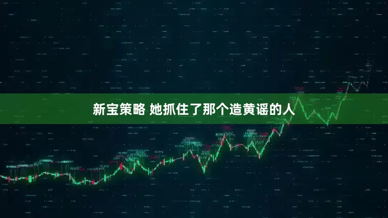 新宝策略 她抓住了那个造黄谣的人