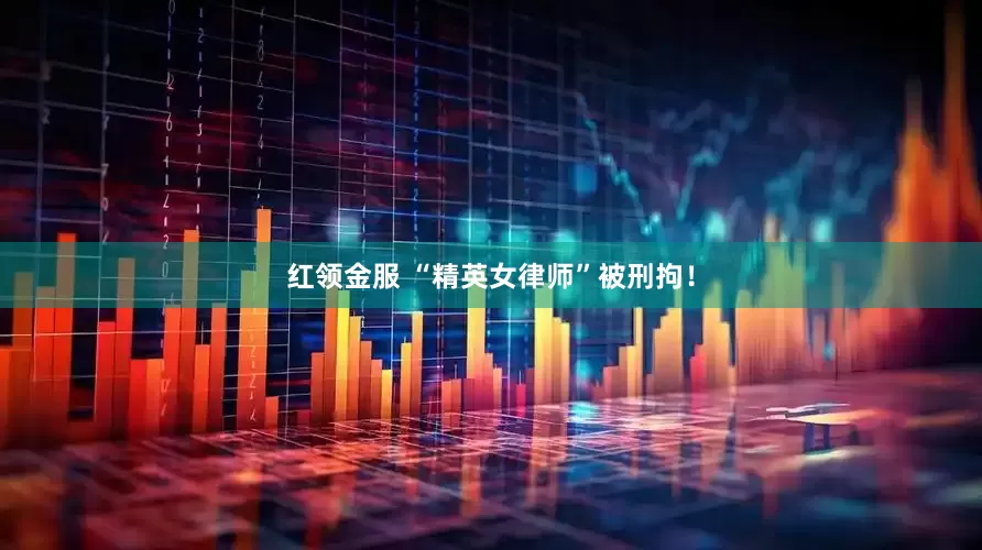 红领金服 “精英女律师”被刑拘！