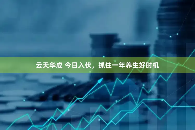 云天华成 今日入伏，抓住一年养生好时机
