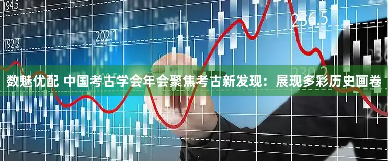 数魅优配 中国考古学会年会聚焦考古新发现：展现多彩历史画卷