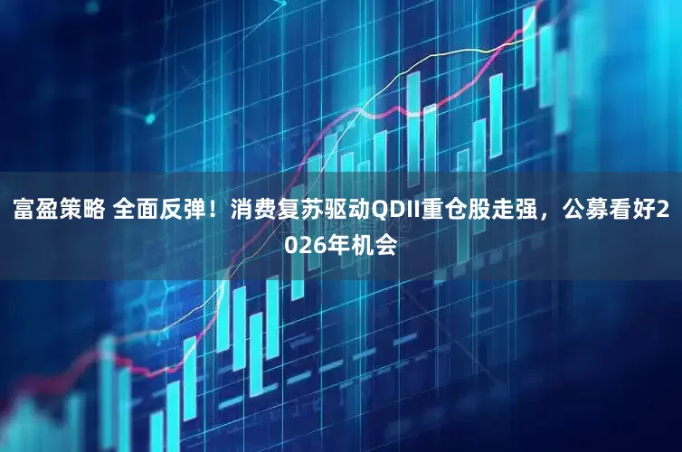 富盈策略 全面反弹！消费复苏驱动QDII重仓股走强，公募看好2026年机会
