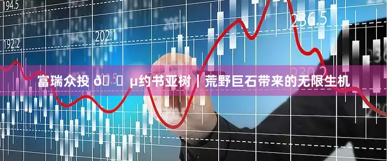 富瑞众投 🌵约书亚树｜荒野巨石带来的无限生机